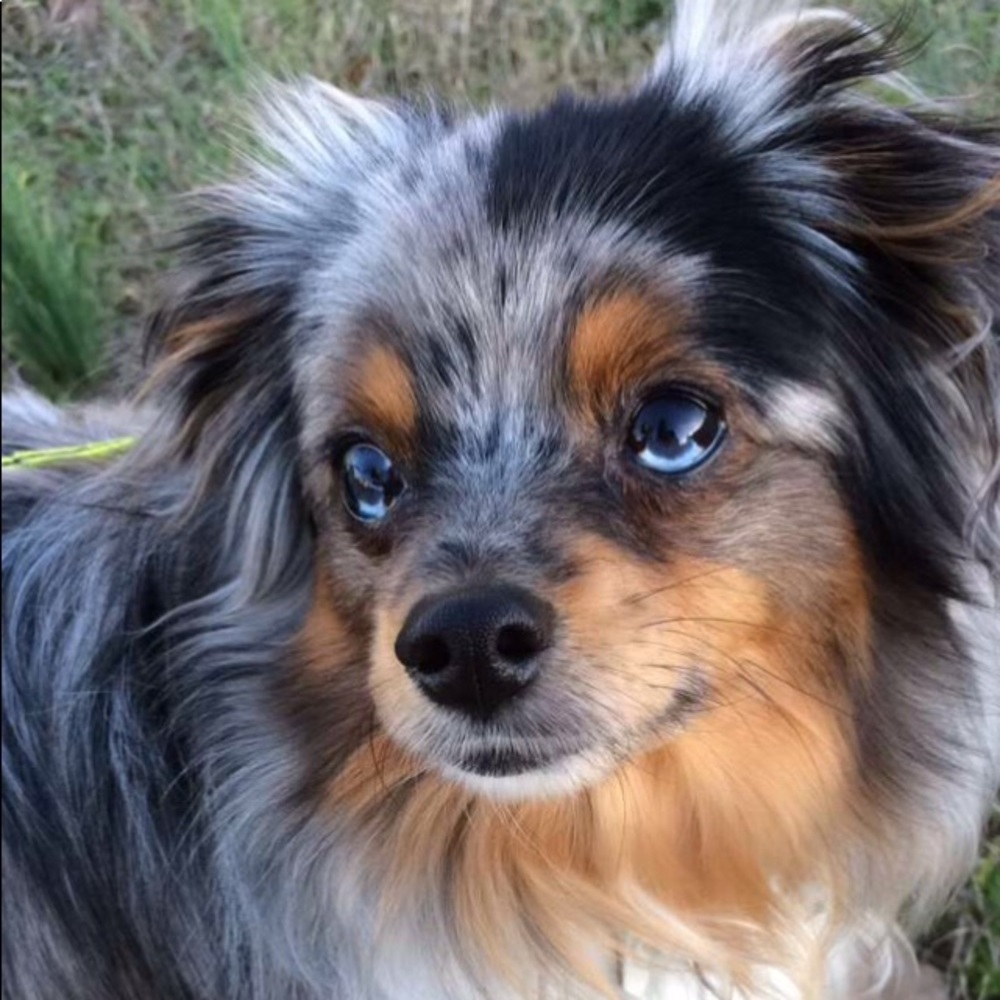 Meet your Posher, Macy